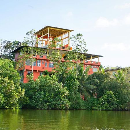 Madu River Edge Hotel Balapitiya Buitenkant foto